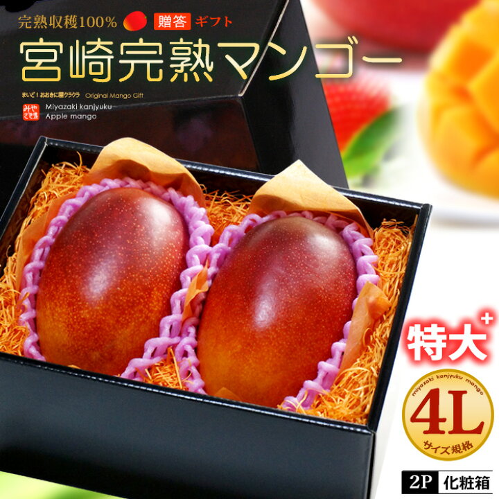 楽天市場】宮崎マンゴー (4L×2玉/約1020g) 宮崎産 赤秀～青秀 宮崎完熟 