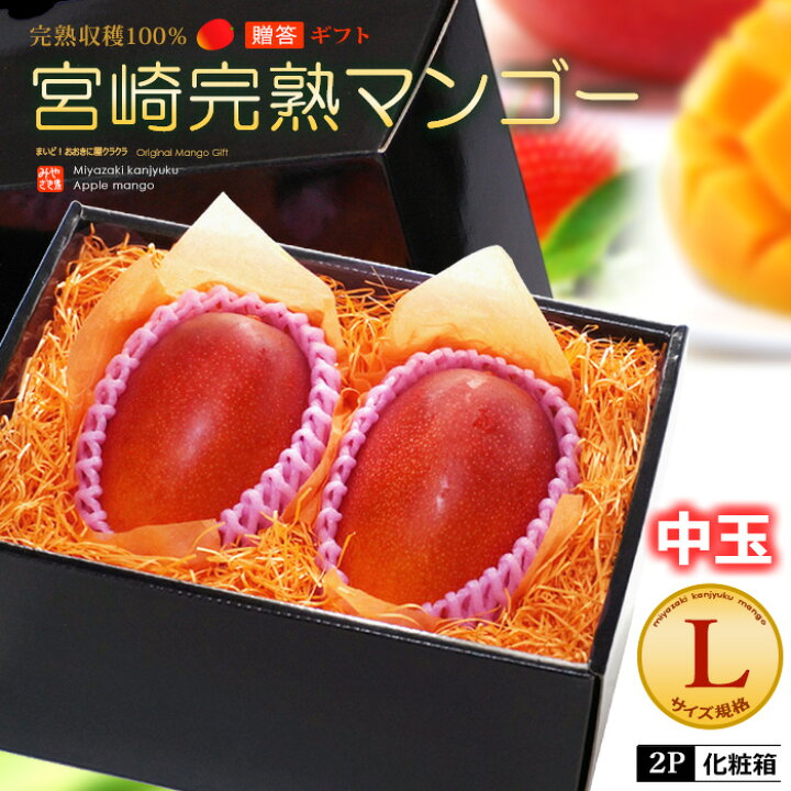 楽天市場】宮崎マンゴー (L×2玉/約600g) 宮崎産 秀品 宮崎完熟マンゴー 