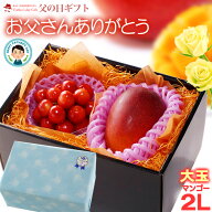 父の日 ギフト 宮崎マンゴー (2L×1玉/約350g以上) と 山形さくらんぼ 佐藤錦 (M玉×約100g) セット 秀品…