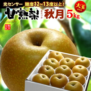 Ïn Â H 3L-5L (5kg) YnC Gi  Ȃ iV pear ZT[ x12xȏ  H Hi t[c ʕ a c Mtg  䋟 Â lC j  ΂