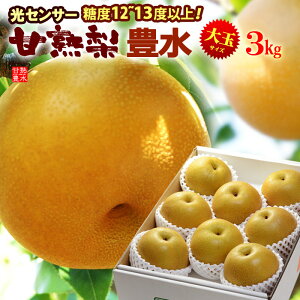 Ïn L 3L-5L (3kg) Yn͂C Gi ق  Ȃ iV pear ZT[ x12xȏ  L Hi t[c ʕ a L c Mtg  䋟 Â lC j 