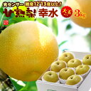 甘熟 幸水梨 3L-4L (約3kg) 産地はお任せ 秀品 梨 なし ナシ pear 光センサー 糖度12度以上 大玉 幸水 食品 フルーツ 果物 和梨 幸水 残暑お見舞い ギフト お供え 御供え 甘い 人気 男性 女性 喜ばれる 2026 送料無料