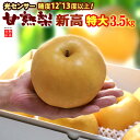 甘熟 新高梨 6L (約3.5kg) 産地はお任せ 秀品 梨 なし ナシ pear にいたか 光センサー 糖度12度以上 大玉 新高梨 食品 フルーツ 果物 和梨 新高 甘い 人気 男性 女性 喜ばれる 2026 送料無料