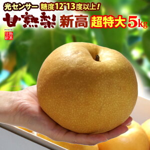 Ïn V 7L (5kg) Yn͂C Gi  Ȃ iV pear x12xȏ  V Hi t[c ʕ a V Â lC j  ΂ 2025 