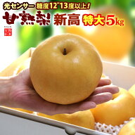 甘熟 新高梨 6L (約5kg) 産地はお任せ 秀品 梨 なし ナシ pear 新高梨 にいたかなし 食品 フルーツ 果物 …