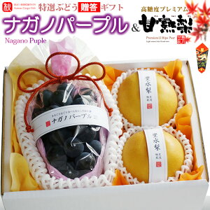 Mtgp iKmp[v (1[) × Ïn (2) Y/啪EVEY Ԃǂ Gi 炲 햳 L Â 쐅 V Hi t[c ʕ uhE Mtg Â lC j