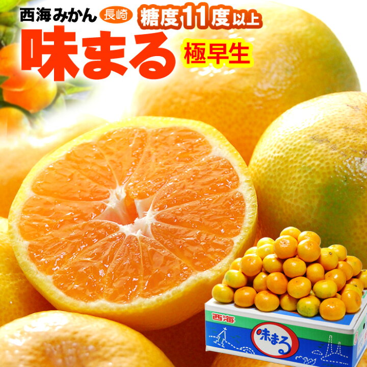 楽天市場 西海みかん 極早生味まる 5kg 長崎産 秀 糖度選果11度以上 ミカン 蜜柑 食品 フルーツ 果物 みかん 送料無料 まいど おおきに屋クラクラ