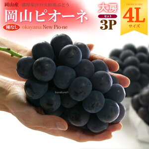 RsI[l 4L×3[ (1.8kg) RY Gi sI[l ҂[ Ԃǂ uhE  햳 pione Hi t[c ʕ uhE Mtg  i  䋟 Â lC j  ΂ 2025 