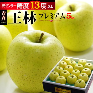  v~A13 (5kg) XY I x13xȏ  S ь т  S apple ringo Hi t[c ʕ  Ε Ε Mtg 蕨  i  