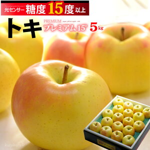 gL v~A 15° (5kg) XY I p Mtg gL Ƃ  S ь apple ringo x15xȏ ƂS gLS ь Hi t[c ʕ  5L Mtg  
