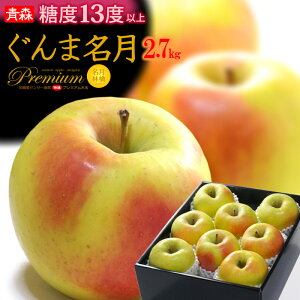 ܖ  (2.7kg) XY Gi   S ߂ CQc  apple ringo S ь x Hi t[c ʕ  Ε Ε Mtg  蕨  