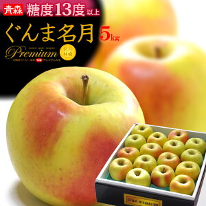 ܖ  (5kg) XY Gi   S ߂ CQc  5L apple ringo S ь x Hi t[c ʕ  Ε Ε Mtg  蕨 