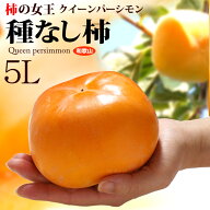 クイーンパーシモン 5L (約4kg) 和歌山産 秀品 種なし柿 たねなし柿 種無し柿 種無しかき 柿 かき カキ p…