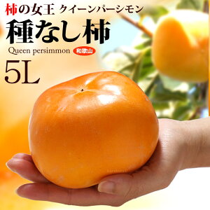NC[p[V 5L (4kg) a̎RY Gi Ȃ` ˂Ȃ` 햳` 햳 `  JL persimmon  Hi t[c ʕ ` Mtg   䋟 Â lC j  