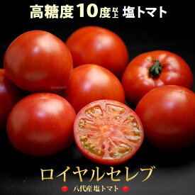 塩トマト ロイヤルセレブ (約900g) 熊本県 八代産 とまと 塩とまと はちべえトマト 高級 フルーツトマト フルーツ 糖度10度以上 高糖度 甘い 八代 塩トマト 食品 野菜 きのこ トマト ギフト 贈答 御供え お供え 送料無料