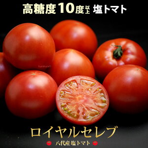 高糖度 トマトの人気商品 通販 価格比較 価格 Com