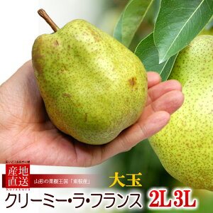 \n tX 2L/3L (3kg) R`Y Gi p m miV mȂ m EtX ӂ pear Hi t[c ʕ m Ε Ε Mtg i  䋟 Â lC j