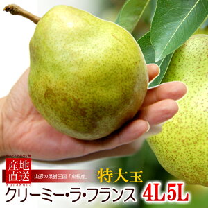\n tX 4L/5L (2kg) R`Y Gi  m miV mȂ m EtX ӂ pear Hi t[c ʕ m Ε Ε Mtg i  䋟 Â lC j