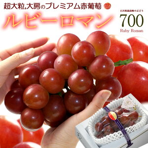r[} (700gO/1[) ΐY Gi 嗱 [ с[܂ Q  Ԃǂ  grape 햳 Ȃ Hi t[c ʕ uhE Mtg  v[g 䋟  Â lC j 