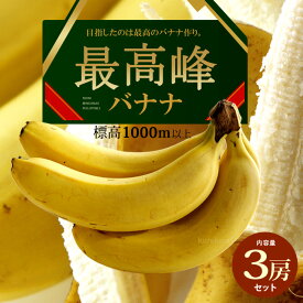 最高峰バナナ (約700g×3袋) フィリピン産 バナナ ばなな banana 高糖度 甘い もっちり ミンダナオ島 標高1000m以上 高地栽培 高級 食品 フルーツ 果物 バナナ 健康 栄養 習慣 ダイエット ギフト 贈答 送料無料