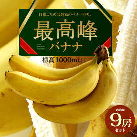 最高峰バナナ (約700g×9袋) フィリピン産 バナナ ばなな banana 高糖度 甘い もっちり ミンダナオ島 標高1000m以上 高地栽培 高級 食品 フルーツ 果物 バナナ 健康 栄養 習慣 ダイエット ギフト 贈答 送料無料