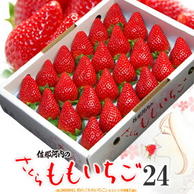 さくらももいちご (24粒/約700g) 徳島県 佐那河内産 いちご 化粧箱 ももいちご サクラ さくら 桃 苺 桜 サクラ 贈答用 ギフト 高級いちご 大粒 大玉 高糖度 甘い 桃苺 イチゴ 苺 食品 フルーツ 果物 いちご ギフト 贈答 お歳暮 御歳暮 お供え 御供え 送料無料