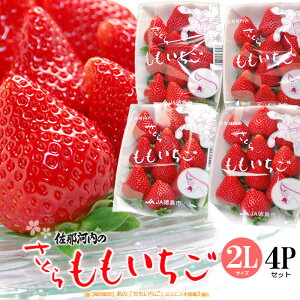  (220g×4P)  ߉͓Y ϔ  TN     C`S  4pbN x Â Mtg p  Hi t[c ʕ  Mtg  j 