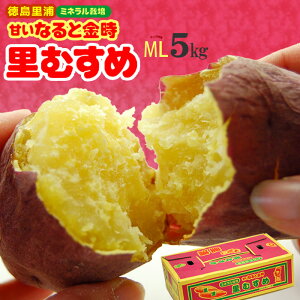 ȂƋ ނ (M-L/5kg)  YY N ~l͔|   Ȃ Ƃ   Ƃނ zNzN Ă Ă Tc}C F ܈  ̂ T