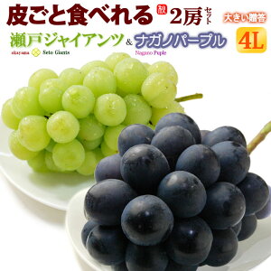˃WCAc  iKmp[v 4L×2[ (1.2kg) RY/Y Gi ƂႢ Ȃ̂ρ[Ղ Ԃǂ uhE  炲 햳 Hi t[c ʕ uhE Mtg  i 