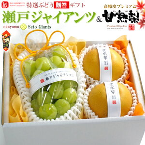 Mtgp ˃WCAc (1[) × Ïn (2) RY/啪EVEY Ԃǂ Gi 炲 햳 L Â 쐅 V Hi t[c ʕ uhE Mtg Â lC j