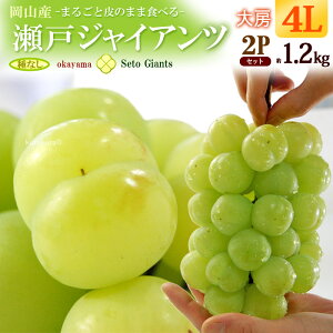 ˃WCAc 4L×2[ (1.2kg) RY Gi ƂႢ Ԃǂ uhE  炲 햳 seto giants Hi t[c ʕ uhE Mtg  i  䋟 Â lC j  