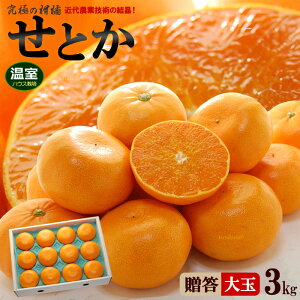 nEX Ƃ 2L-3L (3kg) Q/Y Gi  Mtg 蕨 Ƃ ZgJ ݂ mandarin orange nEX ͔| ˍ k Hi t[c ʕ ݂ Ƃ Â lC j  ΂