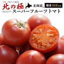 北の極 スーパーフルーツトマト (約800g) 北海道 下川町産 フルーツトマト トマト とまと fruit tomato フルーツ 高糖…