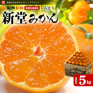 Lc݂ V݂ Î 1 ԏG (5kg) a̎R LcY YҌ S M L p  Hi t[c ʕ  ݂ ~J mikan mandarin orange Ε Ε j j Mtg  