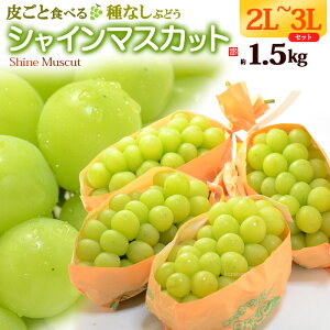 VC}XJbg (1.5kg) REY 3L×3[  2L×4[ `[ Gi Ⴂ܂ Ԃǂ  炲 햳 shine muscat Hi t[c ʕ uhE Mtg  i 