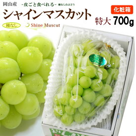 シャインマスカット (700g/1房) 岡山産 秀品 ハウス栽培 しゃいんますかっと shine muscat ぶどう 葡萄 大房 大粒 食品 フルーツ 果物 ブドウ お中元 御中元 贈答 ギフト 送料無料