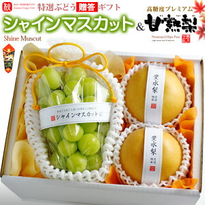 Mtgp VC}XJbg (1[) × Ïn (2) RY/啪EVEY Ԃǂ Gi 炲 햳 L Â 쐅 V Hi t[c ʕ uhE Mtg Â lC 
