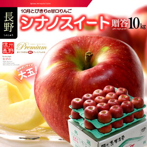 VimXC[g (10kg) Y Gi p Mtg Ȃ Vim MZ MB   S ь apple ringo 10L Hi t[c ʕ  Mtg 蕨   䋟 Â lC 