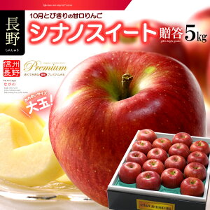 VimXC[g (5kg) Y Gi  Mtg Ȃ Vim MZ MB   S ь apple ringo 5L Hi t[c ʕ  Mtg 蕨  i  䋟 Â l