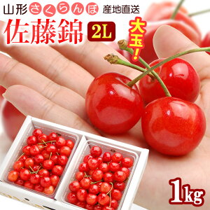 �R�` �������� ������ (2L��/1kg) �R�`�Y 2026 �I�n�͔| �G�i �T�N�����{ 1�L�� ���� �`�F���[ cherry �o���l�� 6�� �H�i �t���[�c �ʕ� �������� ������ �M�t�g ���� �Y�n���� �Â� �l�C �j�� ��