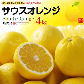 サウスオレンジ 2L-3L (約4kg) 鹿児島産 秀品 和製グレープフルーツ オレンジ 河内晩柑 文旦 宇和ゴールド 美生柑 ジューシー 愛南ゴールド 夏文旦 春柑橘 食品 フルーツ 果物 みかん 高糖度 甘い 送料無料