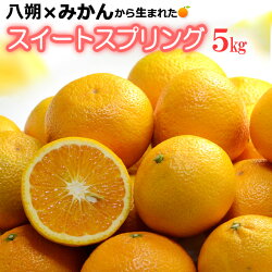 スイートスプリング5kg