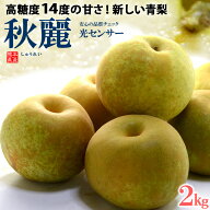 秋麗梨 5-6玉 (約2kg) 熊本産 秀品 しゅうれい 青梨 梨 なし ナシ pear 高糖度 和梨 食品 フルーツ 果物 …