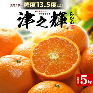 ÔVP (5kg) OdY ԏG Mtg  蕨 Â̋P ̂₫ Hi t[c ʕ ݂ ~J  k x Â IW×Ñ݂×AR[ lC j  