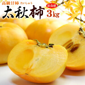 H` (3kg) F{EQEY Gi イ `  JL persimmon  Ê` Hi t[c ʕ ` Mtg   䋟 Â lC j  ΂ 2025 