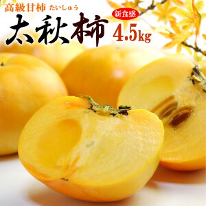 H` (4.5kg) F{EQEY Gi イ `  JL persimmon  Ê` Hi t[c ʕ ` Mtg   䋟 Â lC j  ΂ 2025 