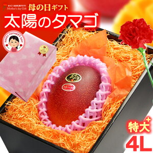 ��̓� �M�t�g ���z�̃^�}�S (4L×1��/��510g�ȏ�) �{��Y �ԏG�`�G ���z�̂��܂� ���z�̗� �����悤�̂��܂� 2026 ��̓��M�t�g �{�� ���n�}���S�[ ���Y�}���S�[ �M�t�g ���� ���Y ���n �}���S