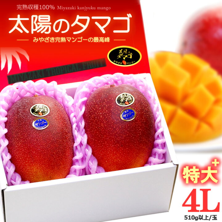 楽天市場】太陽のタマゴ (4L×2玉/約1.2kg) 宮崎産 秀品 太陽のたまご 