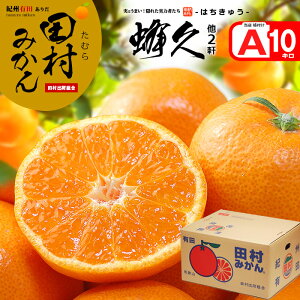 田村みかん 蜂久 他2名 赤秀 (約10kg) 和歌山有田産 生産者限定 はちきゅう S M L 10キロ 有田みかん 贈答用 お歳暮 蜜柑 ミカン 食品 フルーツ 果物 みかん お歳暮 御歳暮 ギフト 贈答 お供え 御
