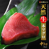 6月限定 天然 近海 生本マグロ 中トロ ブロック (約1kg) 国産(日本海産) 本マグロ クロマグロ 中トロ 生…